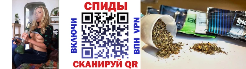 закладки Курчалой Бутират 1.4BDO