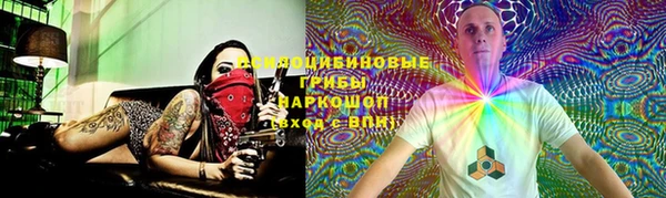 эйфоретик Алзамай