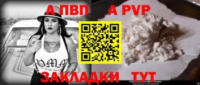 гашик Кингисепп