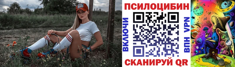 Псилоцибиновые грибы мухоморы  где найти наркотики  Курчалой 