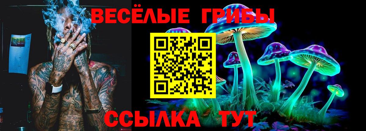 Галлюциногенные грибы MAGIC MUSHROOMS Курчалой