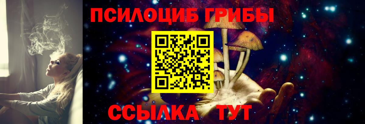 МЕФ Курчалой