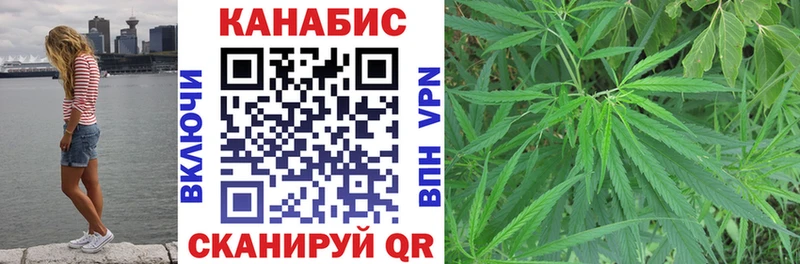 Бошки Шишки марихуана  гидра зеркало  Курчалой 